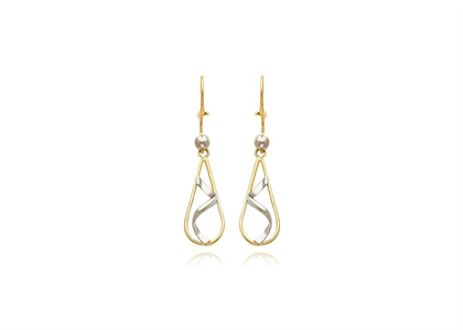 2 Tone Plated | Fashion Earrings